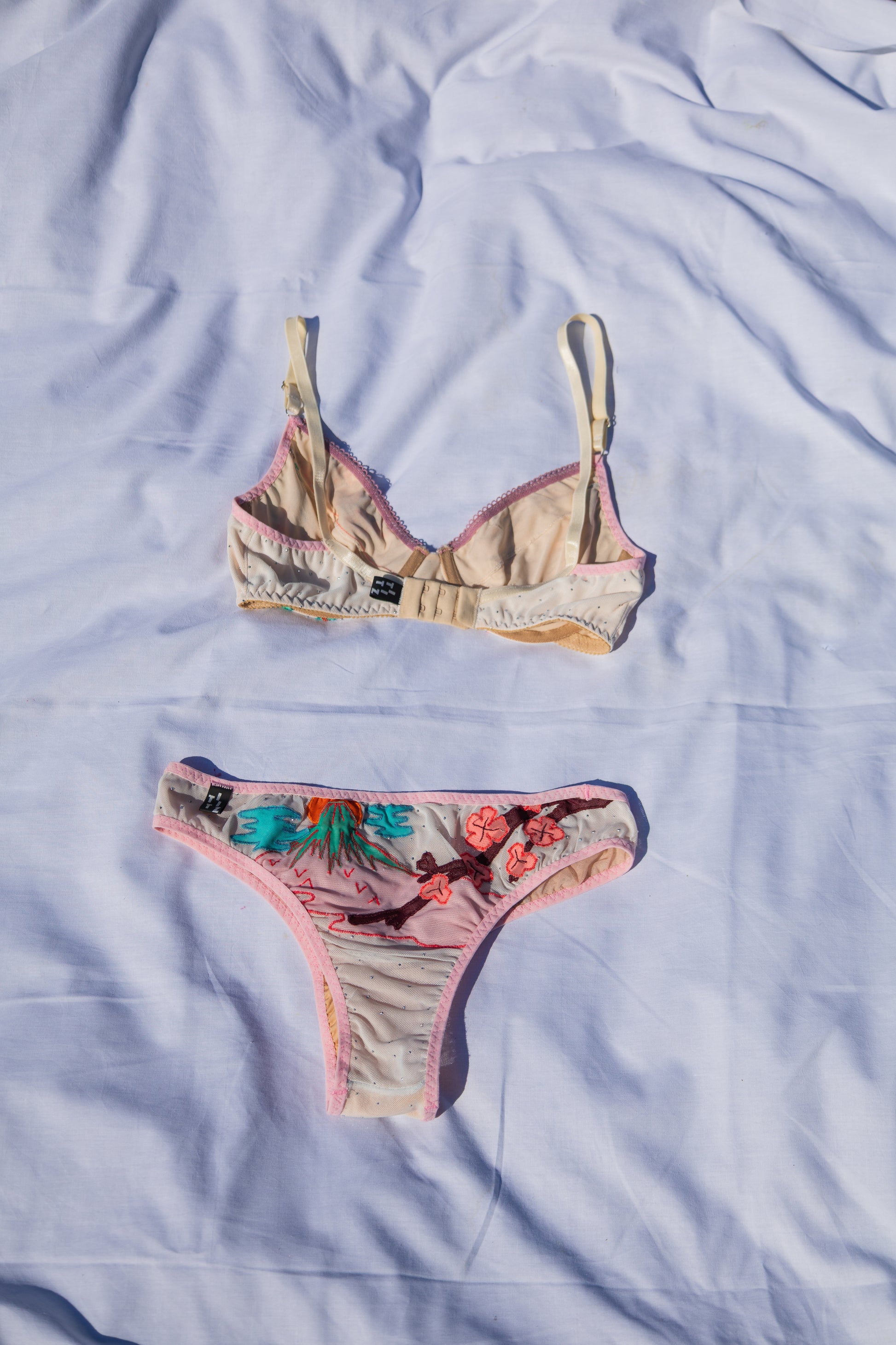 Koi Pantie
